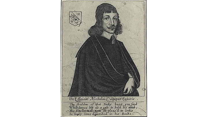Nicholas Culpeper 1649  line engraving